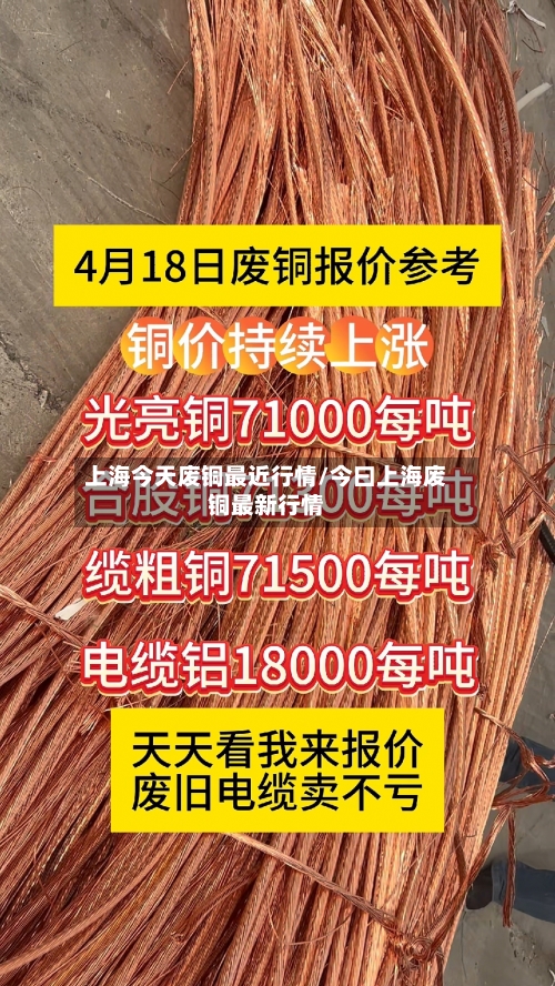 上海今天废铜最近行情/今曰上海废铜最新行情