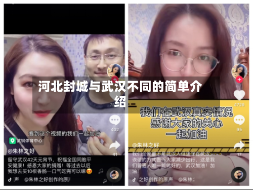 河北封城与武汉不同的简单介绍