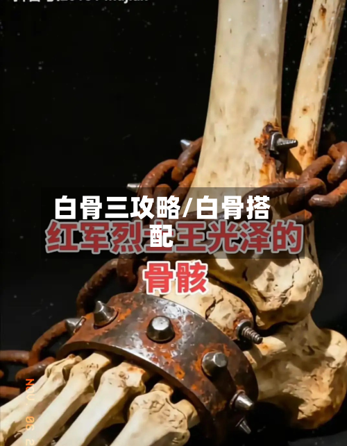 白骨三攻略/白骨搭配-第1张图片