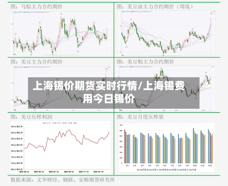 上海锡价期货实时行情/上海锡费用今日锡价