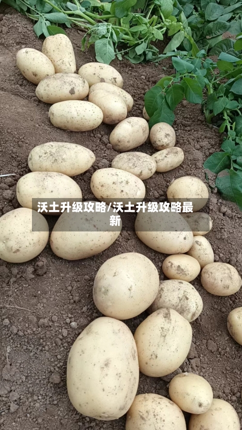 沃土升级攻略/沃土升级攻略最新-第1张图片