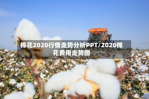棉花2020行情走势分析PPT/2020棉花费用走势图-第1张图片