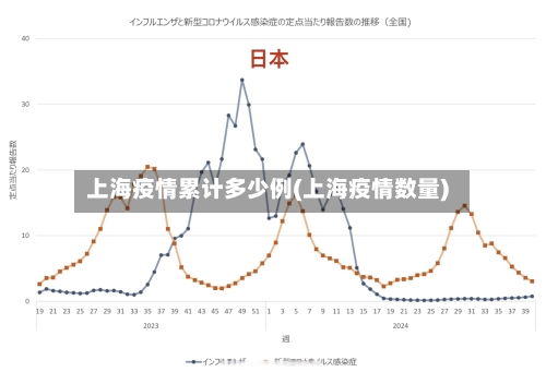 上海疫情累计多少例(上海疫情数量)-第1张图片