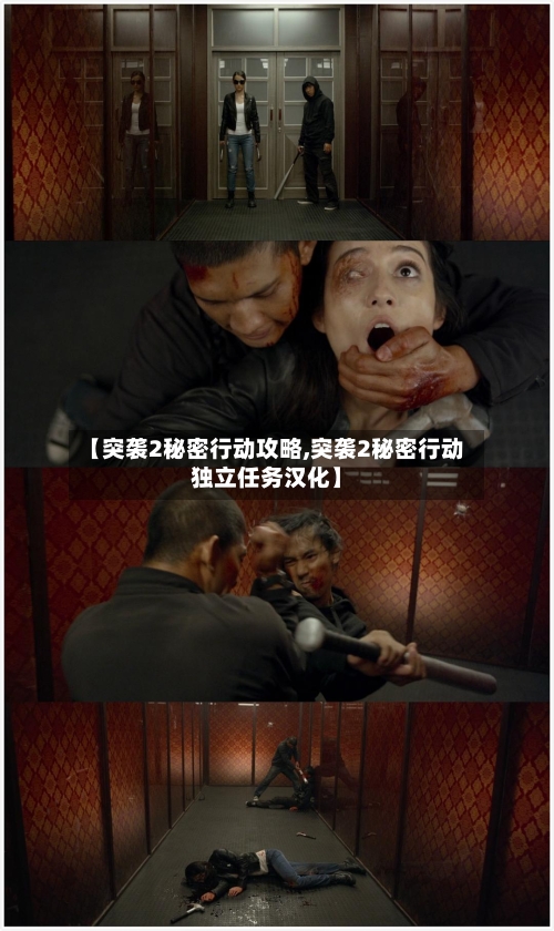 【突袭2秘密行动攻略,突袭2秘密行动独立任务汉化】-第1张图片