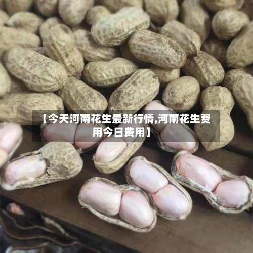 【今天河南花生最新行情,河南花生费用今日费用】