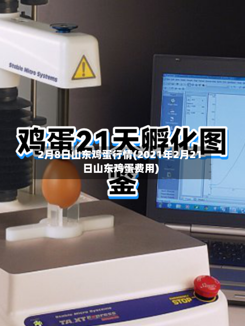 2月8日山东鸡蛋行情(2021年2月21日山东鸡蛋费用)-第2张图片