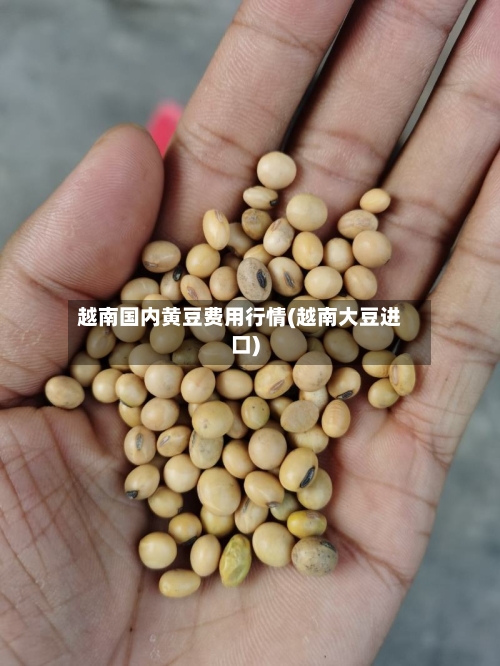 越南国内黄豆费用行情(越南大豆进口)