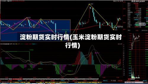 淀粉期货实时行情(玉米淀粉期货实时行情)
