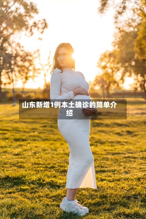 山东新增1例本土确诊的简单介绍-第1张图片