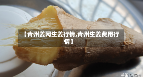 【青州姜网生姜行情,青州生姜费用行情】-第1张图片