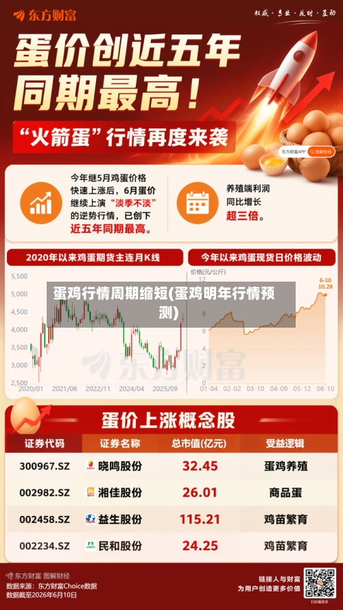 蛋鸡行情周期缩短(蛋鸡明年行情预测)-第1张图片