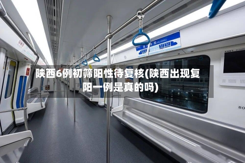 陕西6例初筛阳性待复核(陕西出现复阳一例是真的吗)-第1张图片