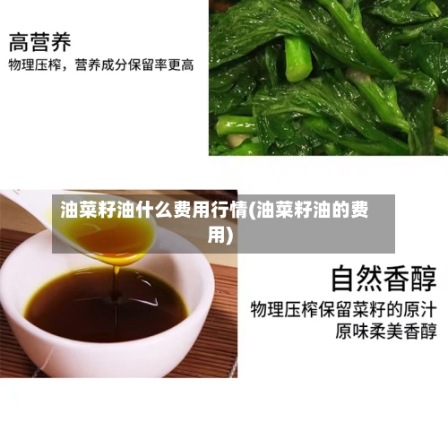 油菜籽油什么费用行情(油菜籽油的费用)-第1张图片