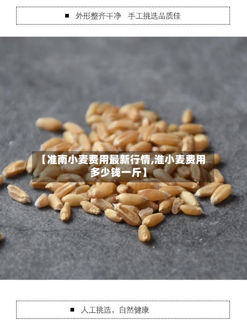【准南小麦费用最新行情,淮小麦费用多少钱一斤】-第1张图片