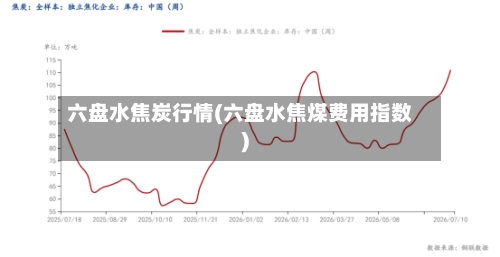 六盘水焦炭行情(六盘水焦煤费用指数)-第3张图片
