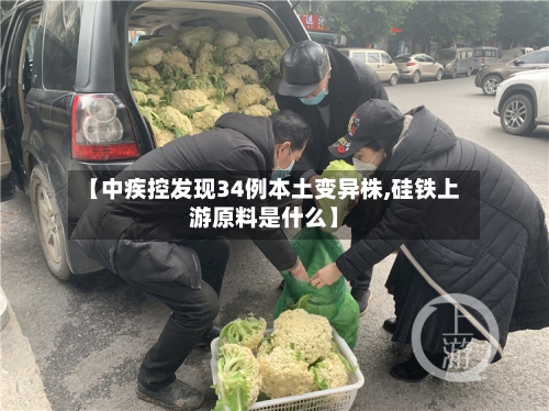 【中疾控发现34例本土变异株,硅铁上游原料是什么】-第1张图片