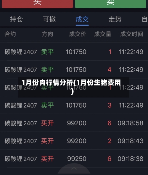 1月份肉行情分析(1月份生猪费用)-第1张图片