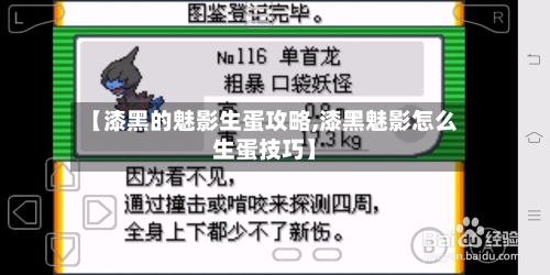 【漆黑的魅影生蛋攻略,漆黑魅影怎么生蛋技巧】-第1张图片