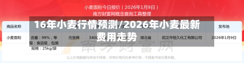 16年小麦行情预测/2026年小麦最新费用走势-第1张图片