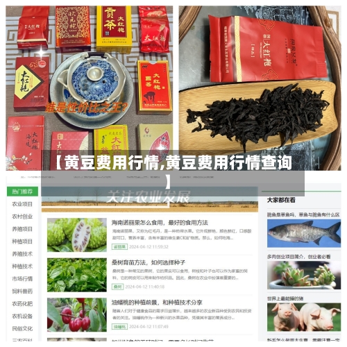 【黄豆费用行情,黄豆费用行情查询】-第1张图片