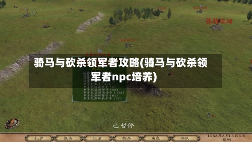 骑马与砍杀领军者攻略(骑马与砍杀领军者npc培养)-第1张图片