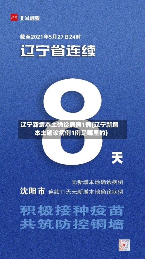 辽宁新增本土确诊病例1例(辽宁新增本土确诊病例1例是哪里的)