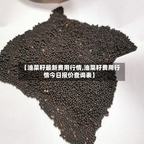 【油菜籽最新费用行情,油菜籽费用行情今日报价查询表】-第1张图片