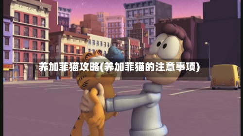 养加菲猫攻略(养加菲猫的注意事项)-第2张图片