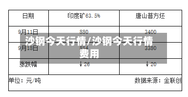 沙钢今天行情/沙钢今天行情费用