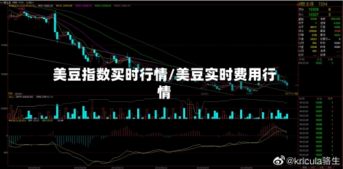 美豆指数买时行情/美豆实时费用行情-第3张图片