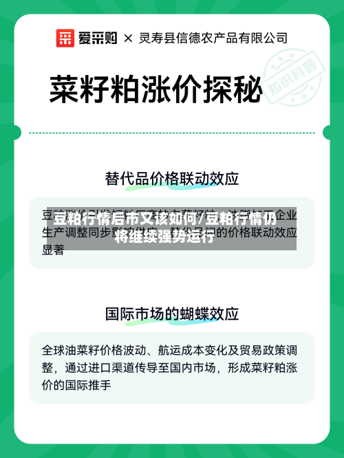 豆粕行情后市又该如何/豆粕行情仍将继续强势运行-第3张图片