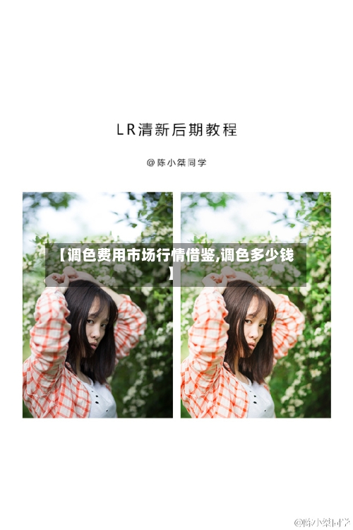 【调色费用市场行情借鉴,调色多少钱】