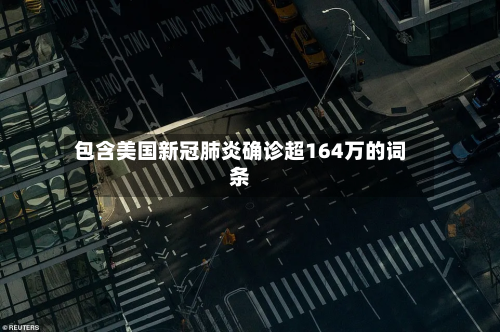 包含美国新冠肺炎确诊超164万的词条-第1张图片