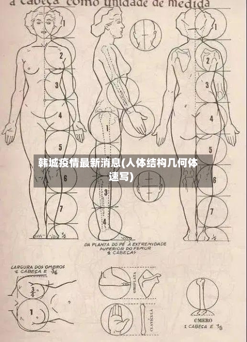 韩城疫情最新消息(人体结构几何体速写)