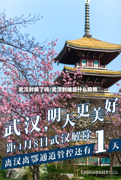 武汉封城了吗/武汉封城是什么疫情-第1张图片