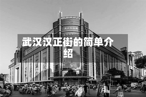 武汉汉正街的简单介绍