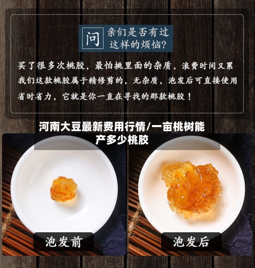 河南大豆最新费用行情/一亩桃树能产多少桃胶-第2张图片