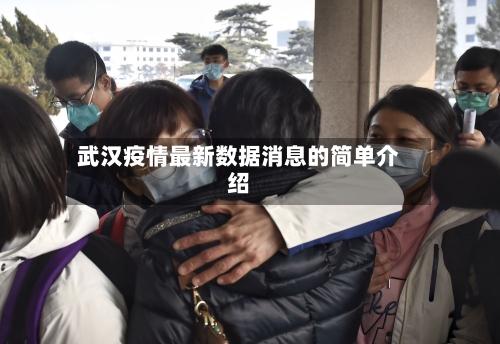 武汉疫情最新数据消息的简单介绍-第3张图片