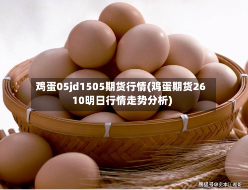 鸡蛋05jd1505期货行情(鸡蛋期货2610明日行情走势分析)-第2张图片