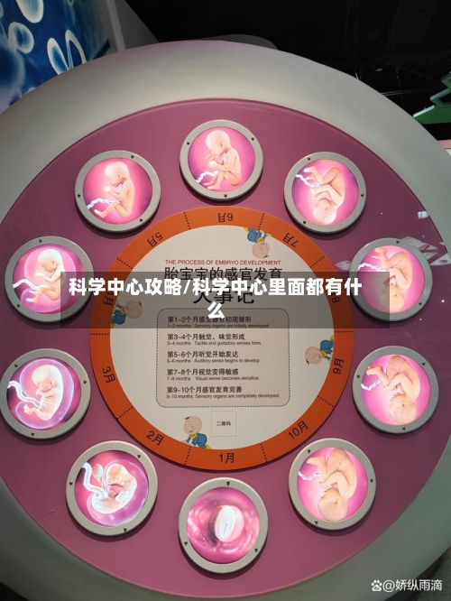 科学中心攻略/科学中心里面都有什么-第2张图片