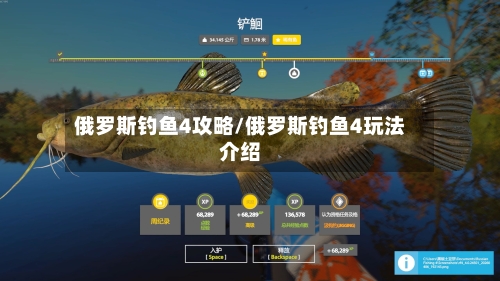 俄罗斯钓鱼4攻略/俄罗斯钓鱼4玩法介绍-第2张图片