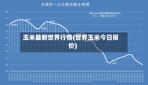 玉米最新世界行情(世界玉米今日报价)