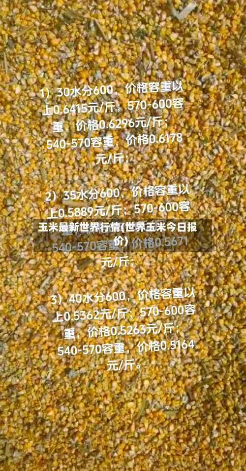 玉米最新世界行情(世界玉米今日报价)-第2张图片