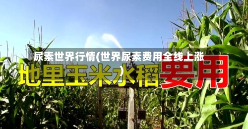 尿素世界行情(世界尿素费用全线上涨)-第2张图片