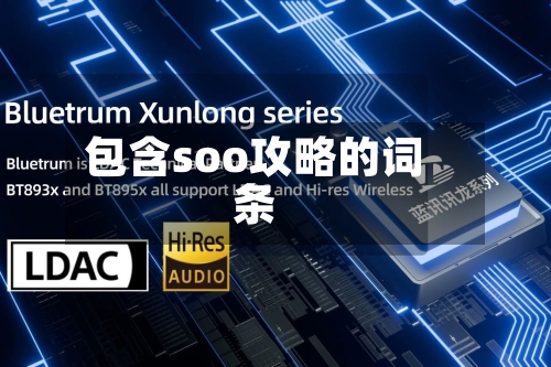 包含soo攻略的词条