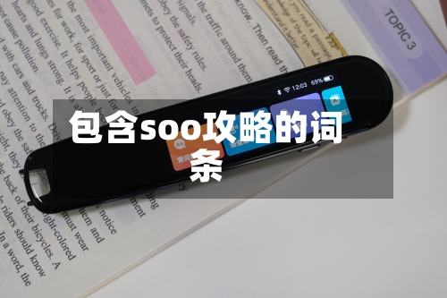 包含soo攻略的词条-第2张图片