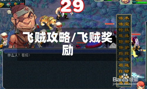 飞贼攻略/飞贼奖励-第2张图片