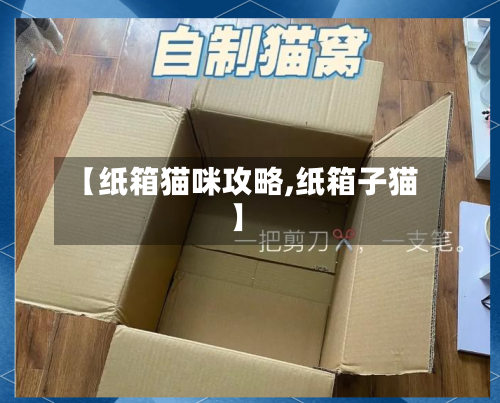 【纸箱猫咪攻略,纸箱子猫】-第3张图片