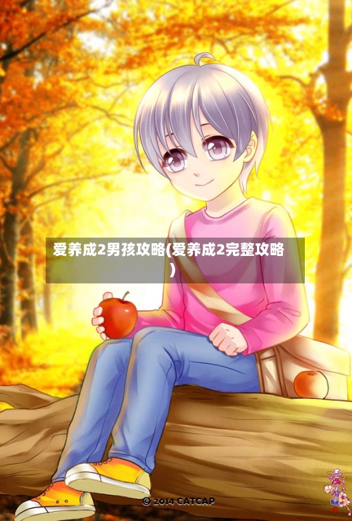 爱养成2男孩攻略(爱养成2完整攻略)