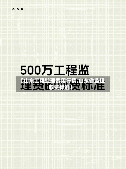 【山东工程监理费用行情,山东省监理取费标准】